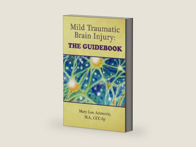 Mild Traumatic Brain Injury: The Guidebook by Mary Lou Acimovic