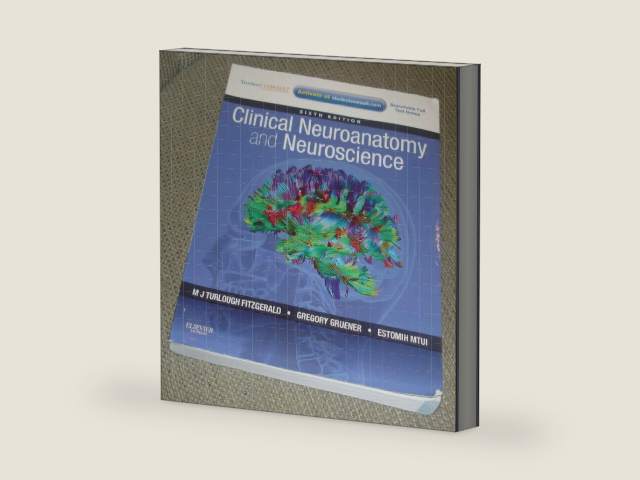 Clinical Neuroanatomy and Neuroscience: With Student Consult Access by Estomih Mtui MD