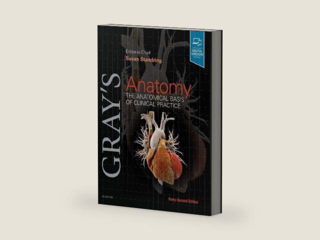 Gray's Anatomy: The Anatomical Basis of Clinical Practice by Susan Standring PhD DSc