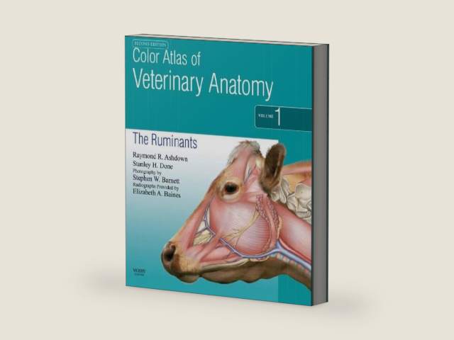 Color Atlas of Veterinary Anatomy, Volume 1, The Ruminants E-Book by Raymond R. Ashdown