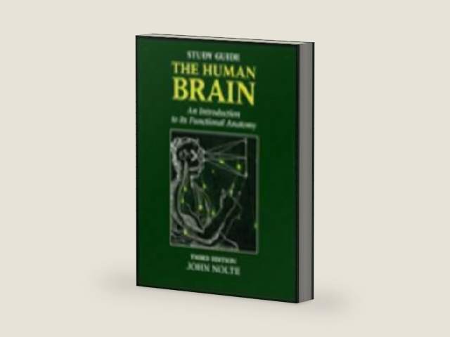 Study Guide to Accompany the Human Brain: Introduction to Its Functional Anatomy by Nolte
