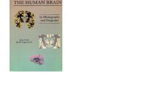 Human Brain in Photogs & Diagrams by john-nolte-phd-jay-b-angevine-jr-phd