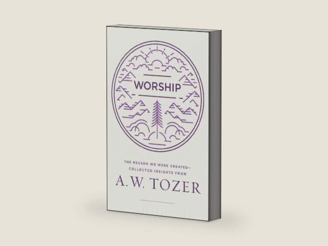 Worship: The Reason We Were Created-Collected Insights from A. W. Tozer by A W Tozer