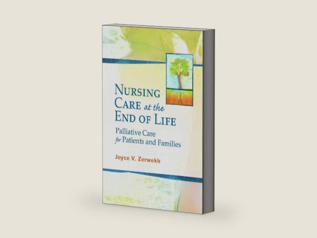 Nursing Care at the End of Life Palliative Care for Patient and Families: Palliative Care for Patients and Families by Joyce V Zerwekh