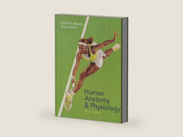 Human Anatomy And Physiology by Elaine Nicpon Marieb
