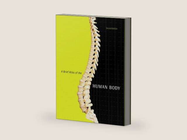 A Brief Atlas of the Human Body by Matt Hutchinson