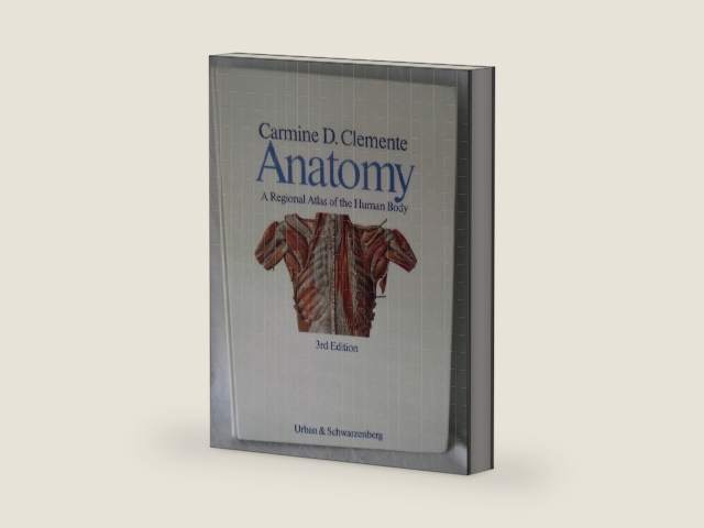 Anatomy, a regional atlas of the human body by Carmine D. Clemente