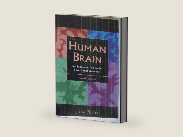 The Human Brain: An Introduction to Its Functional Anatomy by John Nolte