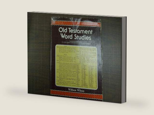 Old Testament Word Studies by William Wilson