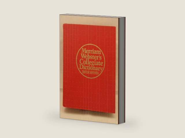Merriam Webster's Collegiate Dictionary by Merriam-Webster
