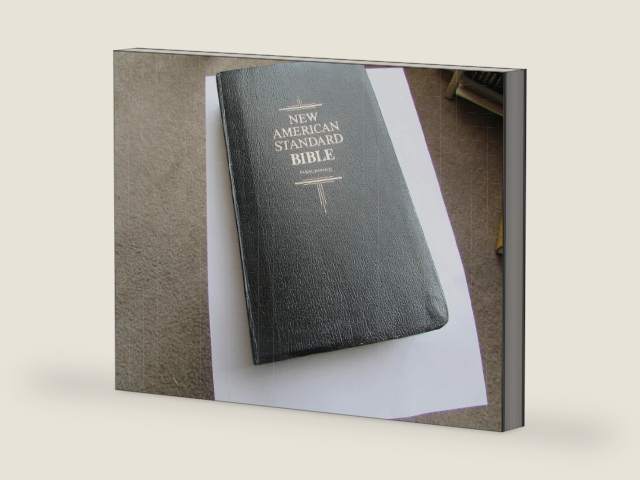 Holy Bible New American Standard: Red Letter Edition, Paragraphed by Bible
