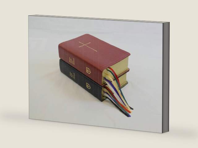 Prayer Book and Hymnal Leather Red by Church Publishing Incorporated