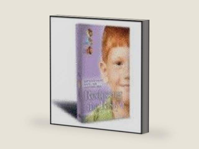 Reducing the Risk-3rd Edition-Leader's Guide-Keeping Your Ministry Safe from Child Sexual Abuse by unknown author