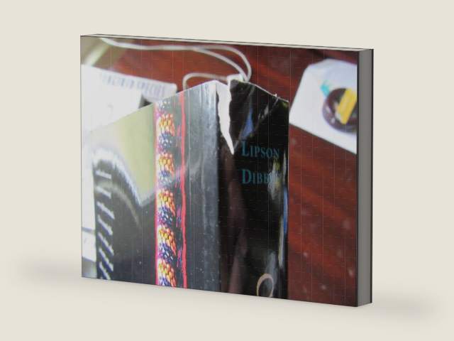 Culture & Clinical Care by Juliene G. Lipson