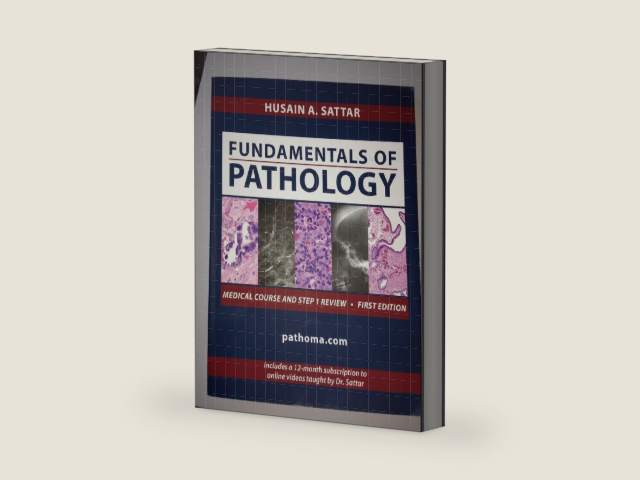 Fundamentals of Pathology by Husain A. Sattar