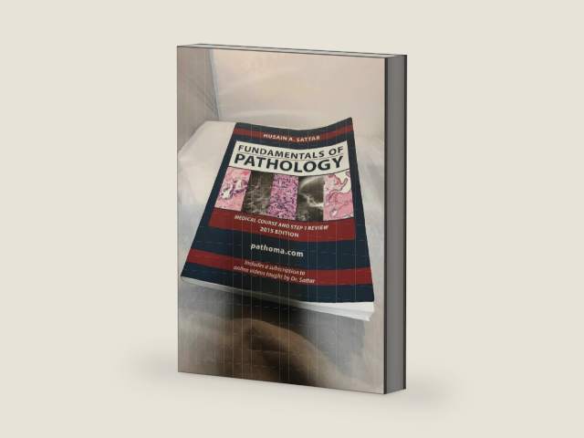 Fundamentals of Pathology by Husain A. Sattar
