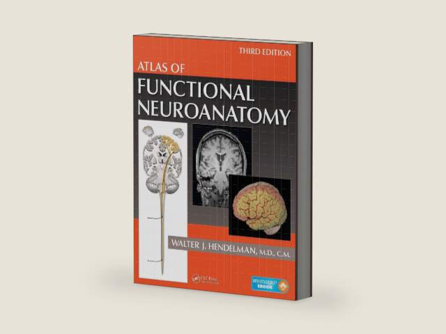 Atlas of Functional Neuroanatomy by Walter Hendelman M.D.