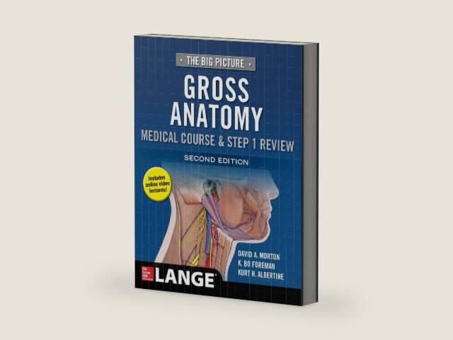 The Big Picture: Gross Anatomy, Medical Course & Step 1 Review, Second Edition by David A. Morton