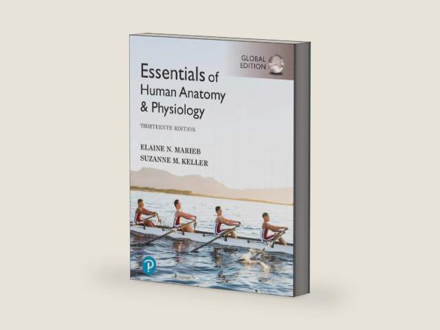 Essentials of Human Anatomy & Physiology [Global Edition] by Elaine Marieb