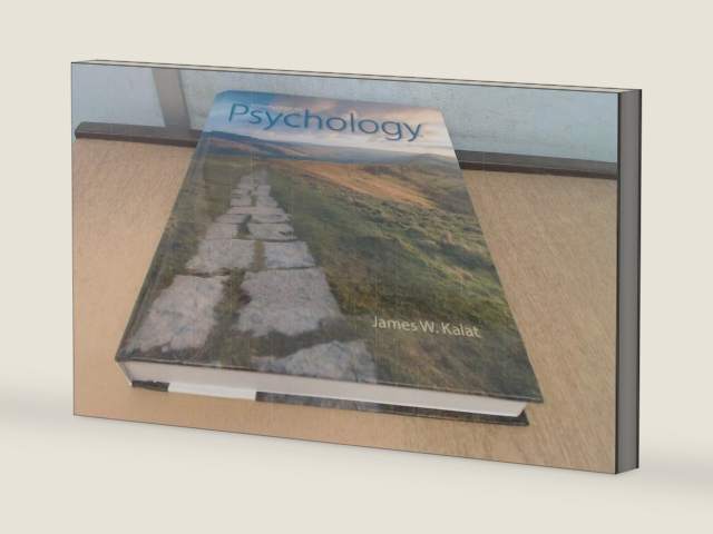 Introduction to Psychology (MindTap Course List) by James W. Kalat