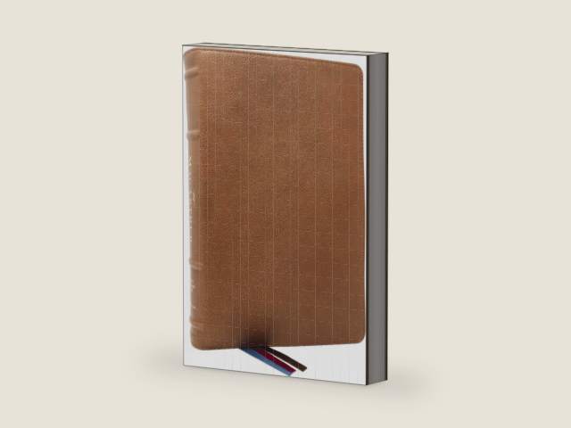 LSB, MacArthur Study Bible, Brown Premium Goatskin Leather, Comfort Print: Unleashing God's Truth One Verse at a Time (Holy Bible, Legacy Standard Bible) by John F. MacArthur