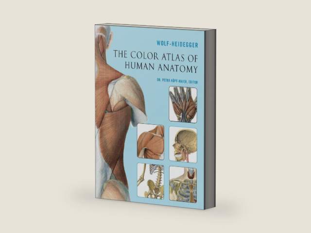 The Color Atlas of Human Anatomy by Wolf-Heidegger