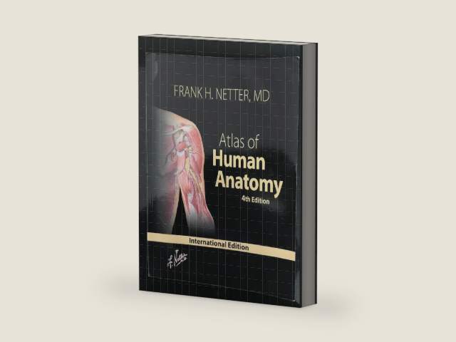 Atlas of Human Anatomy, 4th Edition by Frank H. Netter MD