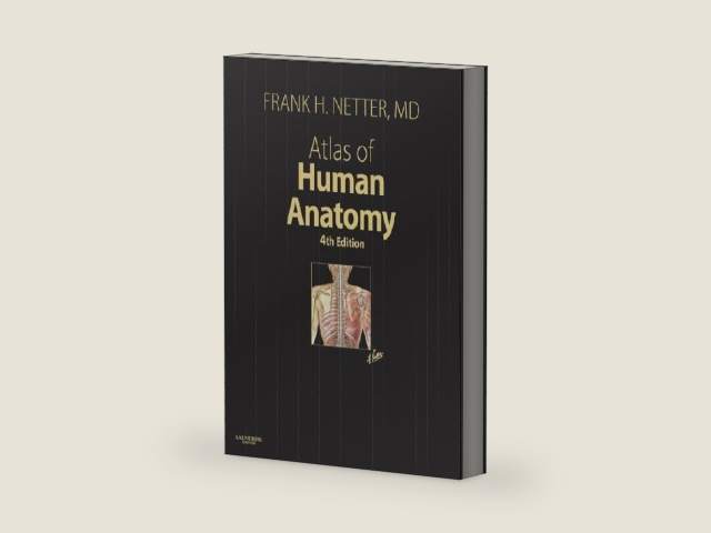 Atlas of Human Anatomy, 4th Edition by Frank H. Netter MD