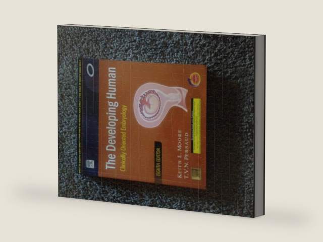 The Developing Human: Clinically Oriented Embryology, 8th Edition by Keith L. Moore