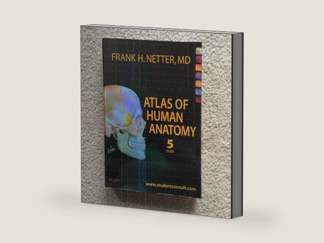 Atlas of Human Anatomy: with Student Consult Access (Netter Basic Science) by Frank H. Netter MD