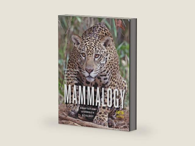 Mammalogy: Adaptation, Diversity, Ecology by George A. Feldhamer