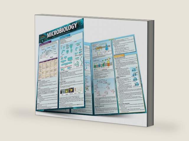Microbiology: a QuickStudy Laminated Reference Guide (Quick Study Academic) by Inc. BarCharts Publishing