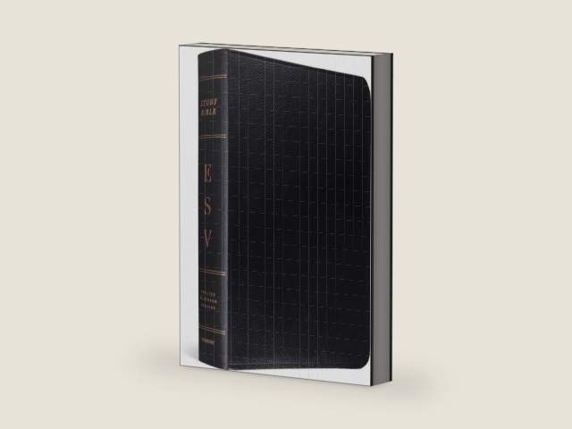 ESV Study Bible (Bonded Leather, Black) by ESV Bibles