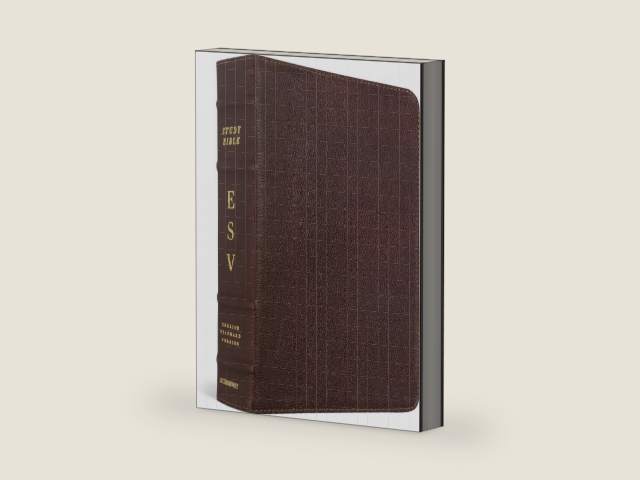 ESV Study Bible (Cowhide, Deep Brown) by ESV Bibles