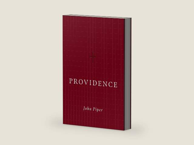 Providence by John Piper