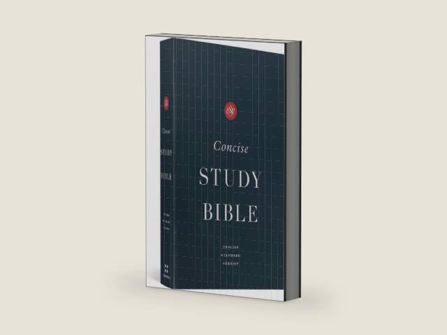 ESV Concise Study Bible, Economy Edition (Paperback): Holy Bible, English Standard Version by ESV Bibles