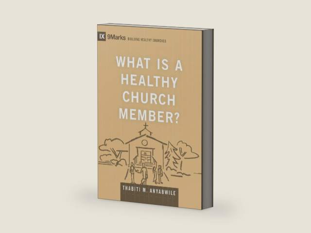 What Is a Healthy Church Member? (Building Healthy Churches) by Thabiti M. Anyabwile