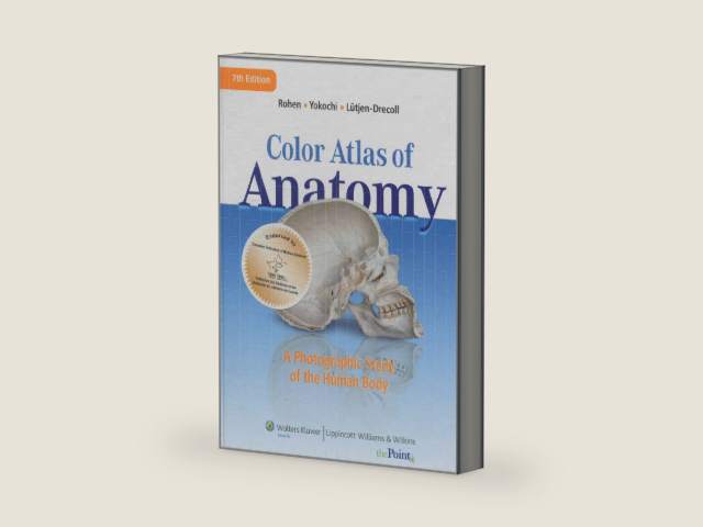 Color Atlas of Anatomy: A Photographic Study of the Human Body by Johannes W. Rohen