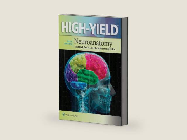 High-Yield Neuroanatomy (High-Yield Series) by Douglas J. Gould PhD