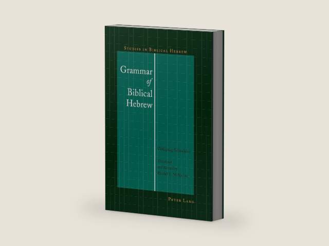 Grammar of Biblical Hebrew (Studies in Biblical Hebrew Book 1) by Wolfgang Schneider
