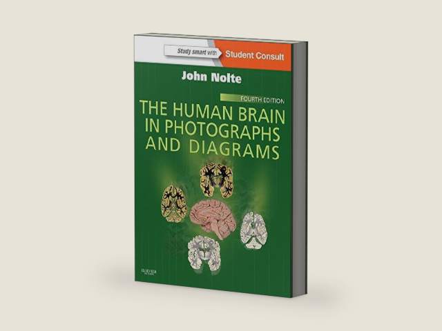 The Human Brain in Photographs and Diagrams: With STUDENT CONSULT Online Access by John Nolte PhD PhD