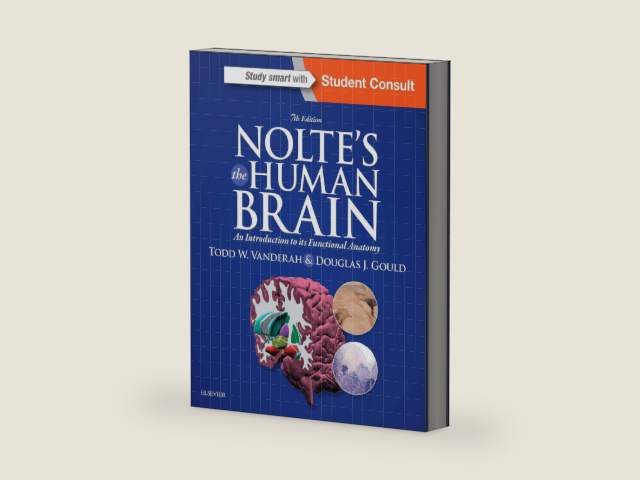 Nolte's The Human Brain: An Introduction to its Functional Anatomy by Todd W. Vanderah PhD
