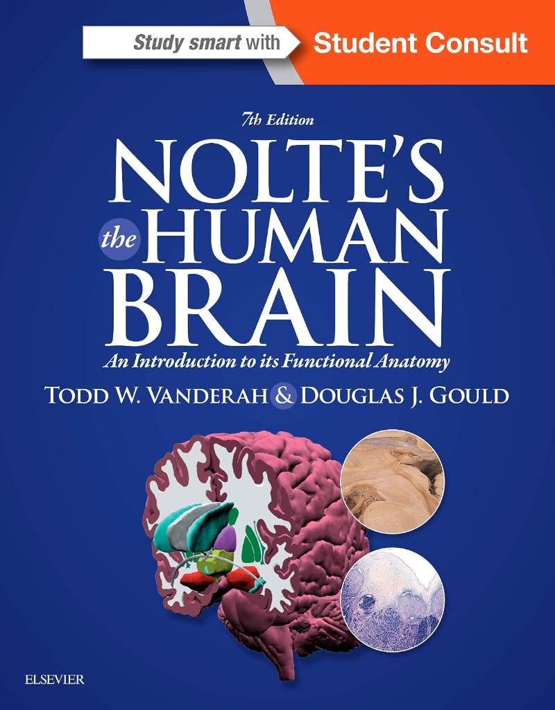 Nolte's The Human Brain: An Introduction to its Functional Anatomy by Todd W. Vanderah PhD