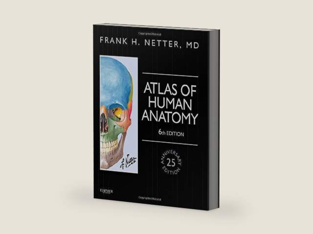 Atlas of Human Anatomy, Professional Edition: including NetterReference.com Access with Full Downloadable Image Bank (Netter Basic Science) by Frank H. Netter MD