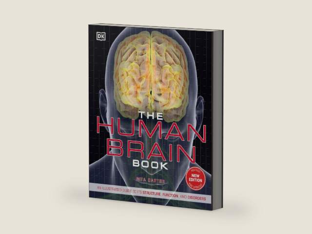 The Human Brain Book: An Illustrated Guide to its Structure, Function, and Disorders (DK Human Body Guides) by Rita Carter