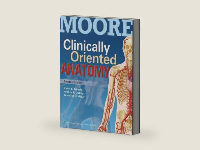 Moore Clinically Oriented Anatomy by Ph.D. Moore, Keith L.