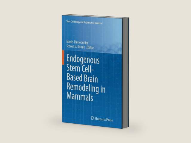 Endogenous Stem Cell-Based Brain Remodeling in Mammals (Stem Cell Biology and Regenerative Medicine) by Marie-Pierre Junier