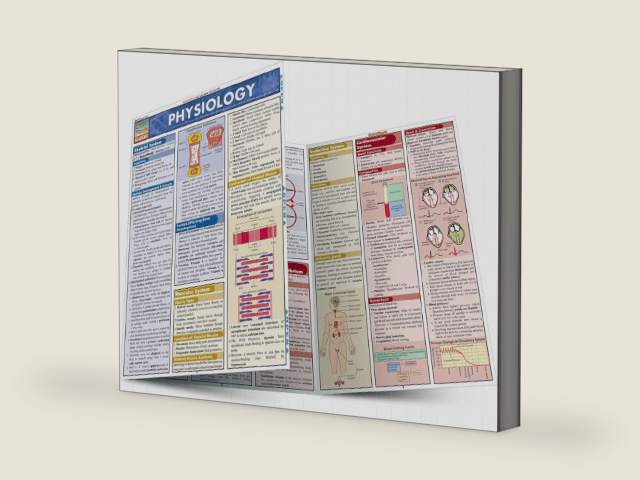 Physiology: QuickStudy Laminated Reference Guide (QuickStudy Academic) by W Randy Brooks