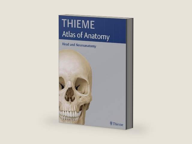 Head and Neuroanatomy (THIEME Atlas of Anatomy) (THIEME Atlas of Anatomy Series) by Michael Schuenke