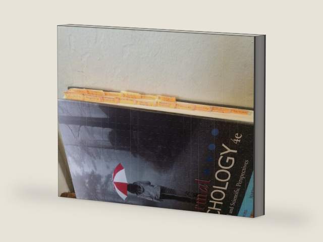 Abnormal Psychology 4th Edition by Charles A. Lyons and Barclay Martin